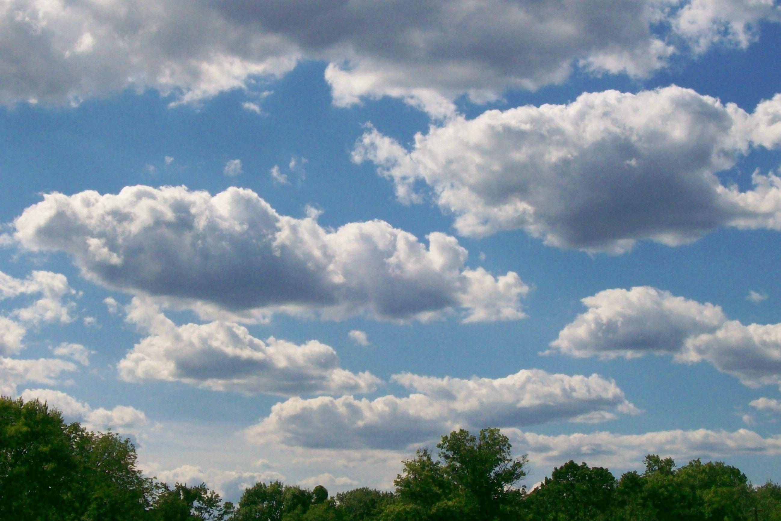 Sky Cloud Logo - Under a blue cloud sky. some little crum creek