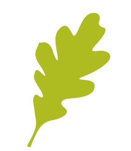 Oak Leaf Logo - Logo - Children's Home of Northern Kentucky