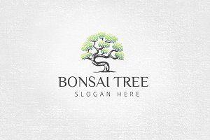 Bonsai Logo - Bonsai logo Photos, Graphics, Fonts, Themes, Templates ~ Creative Market