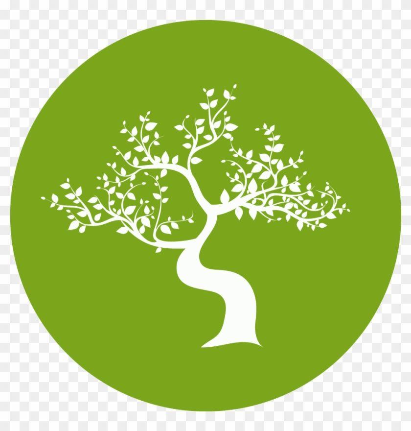 Bonsai Logo - Bonsai Tree Logo Green Transparent PNG Clipart Image Download