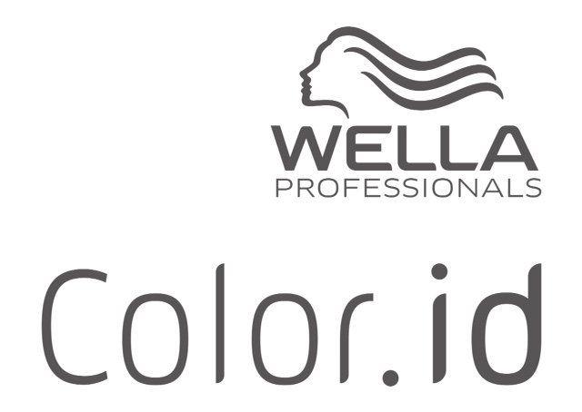 Wella Logo - Premium quality hair products in Newry