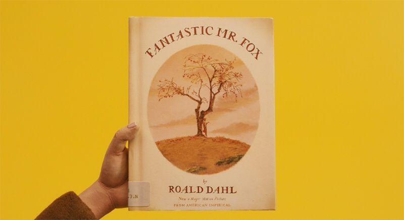 Fantastic Mr. Fox Logo - Fantastic Mr Fox illustrated by Donald Chaffin | tygertale