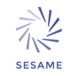 Blue Jordan Logo - SESAME