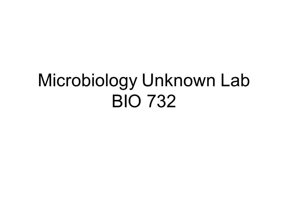 Red Yellow B Logo - Microbiology Unknown Lab BIO 732. TSI agar Triple Sugar Iron Agar a