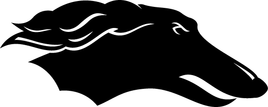 Southern Illinois Salukis Logo - Southern Illinois Salukis Alternate Logo - NCAA Division I (s-t ...