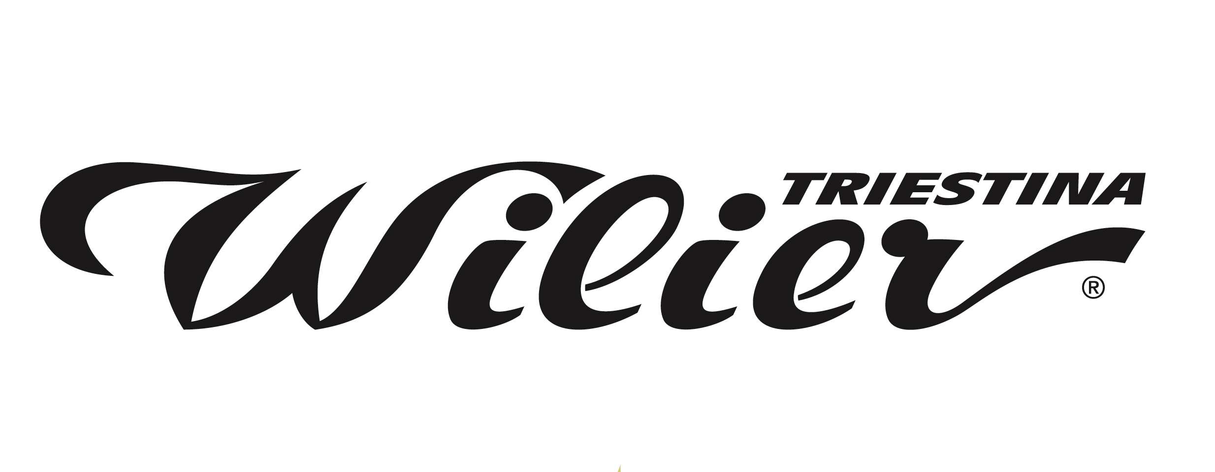 Bicycle Company Logo - Bike company names and Logos