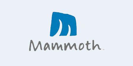 Mammoth Mountain Logo - Mammoth Mountain Logo Brilliant logo designed for a ski resort