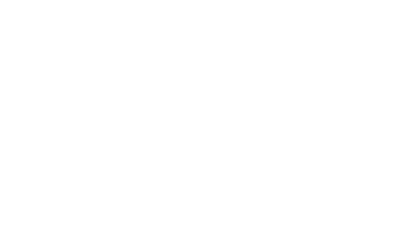 Air New Zealand Logo - Pure Kiwi Air - New Zealand bottled air