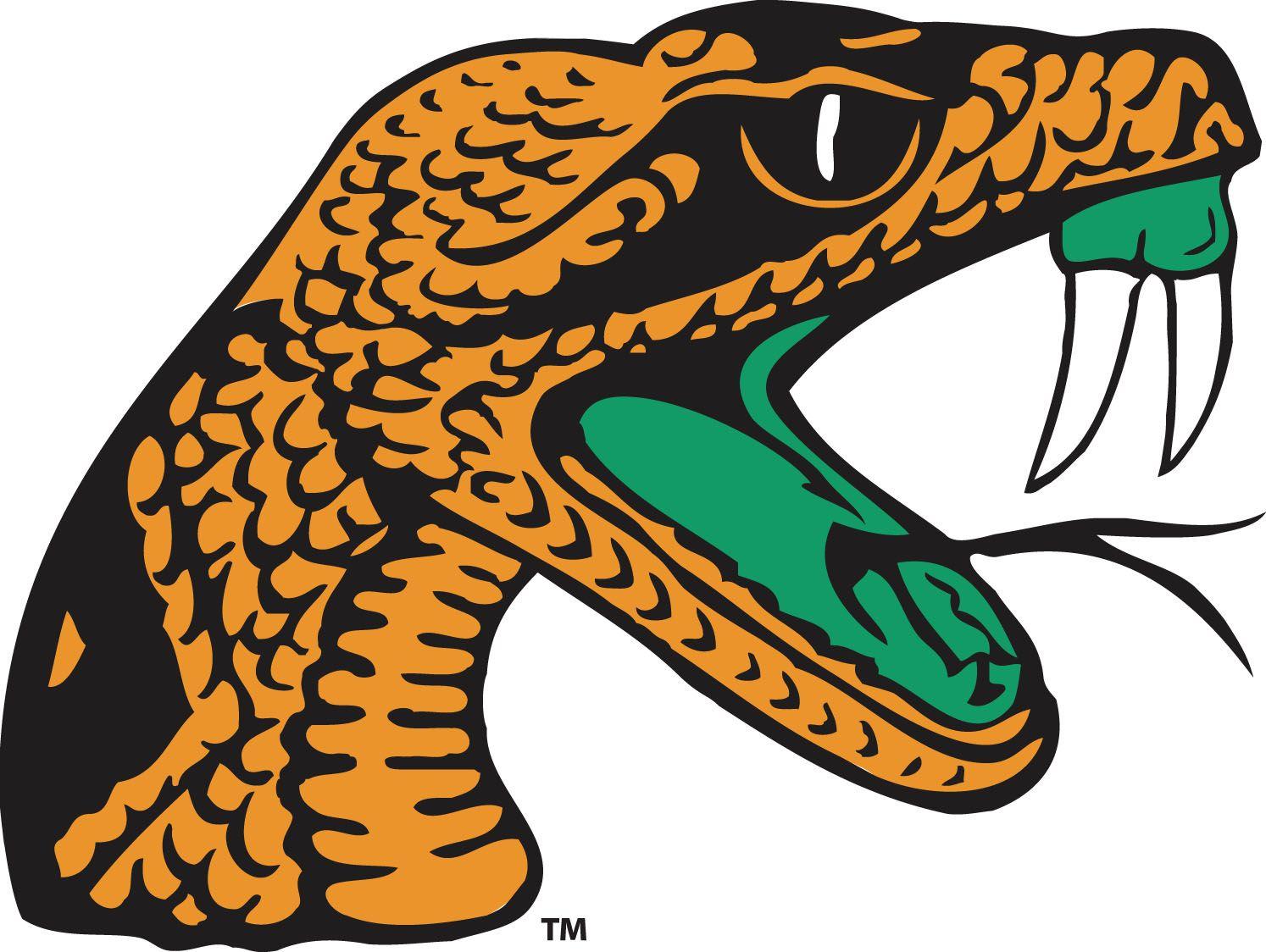 Orange Snake Logo - FAMU Snake