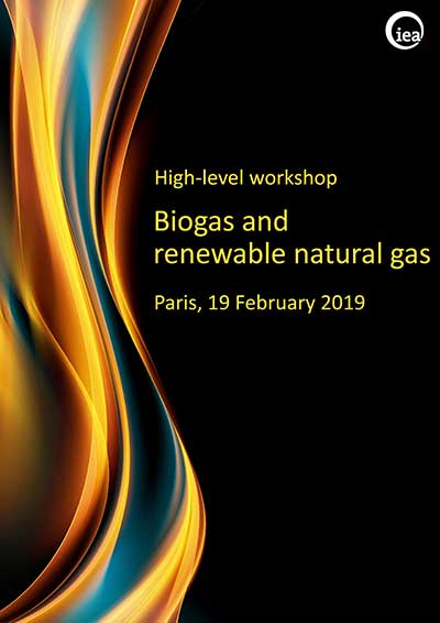 Natural Gas Flame Logo - Workshops: WEO Biogas and Renewable Natural Gas