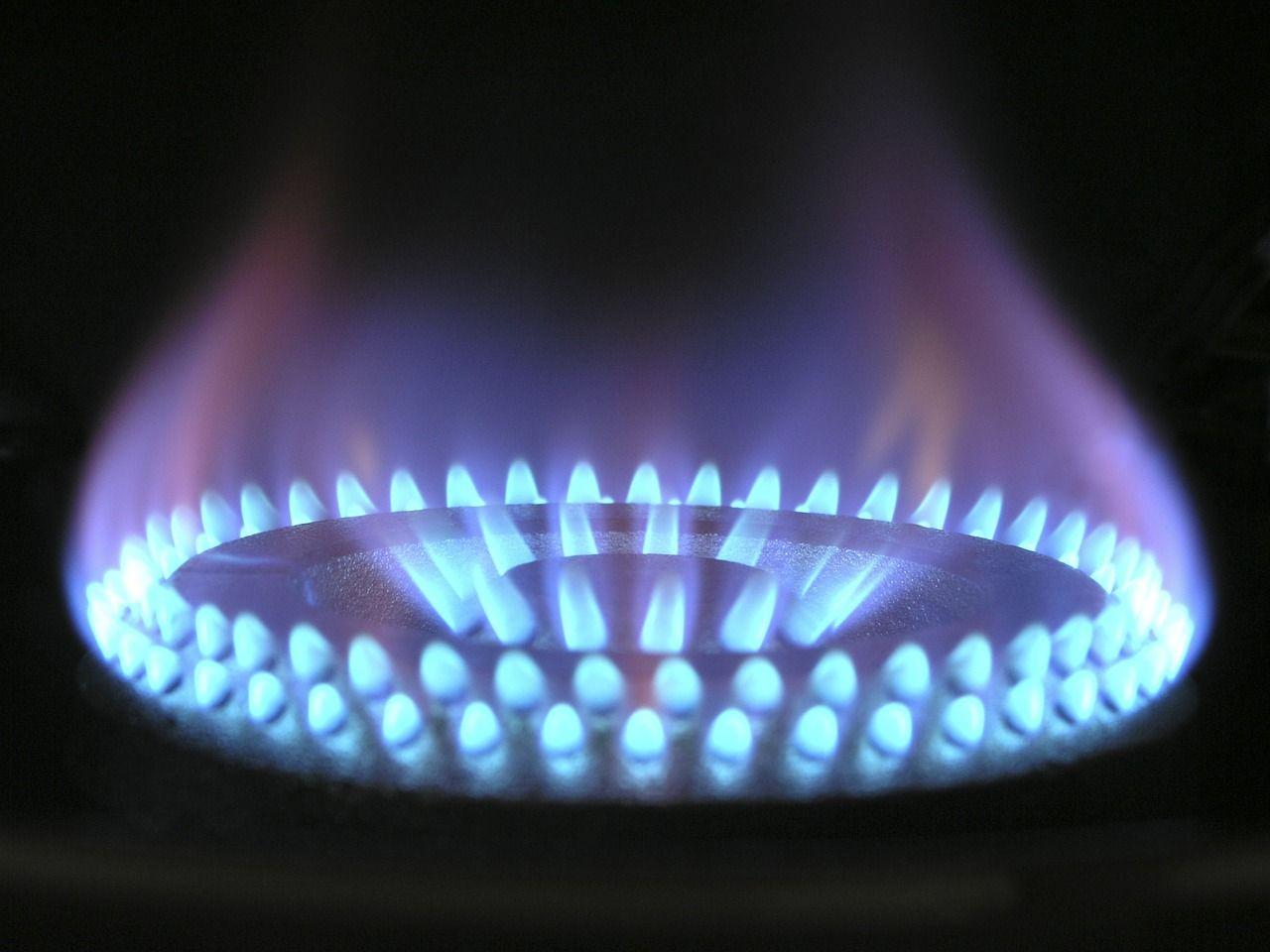 Natural Gas Flame Logo - Renewable gas : future source of energy ? | OMPE | Organisation ...