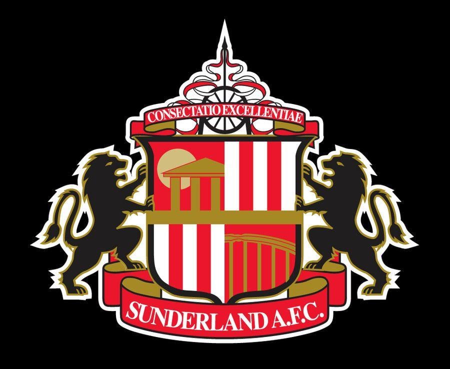 Sunderland Logo - Player Ratings: Who stood out in Sunderland's crunch clash with ...