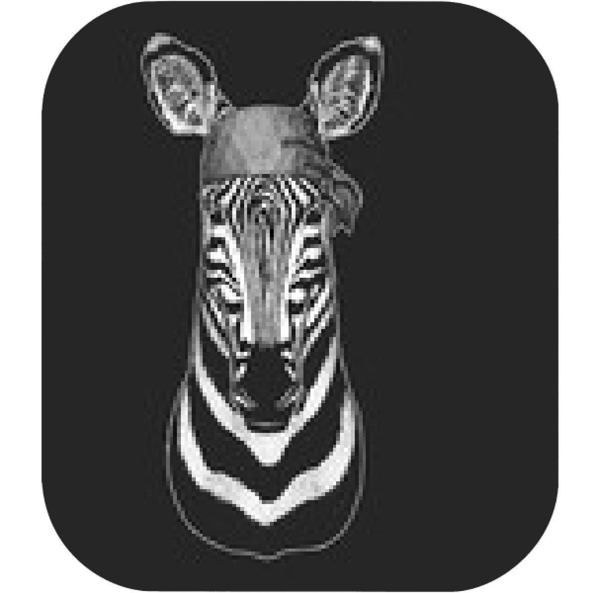 Cool Zebra Logo - Cool Zebra Logo | www.topsimages.com