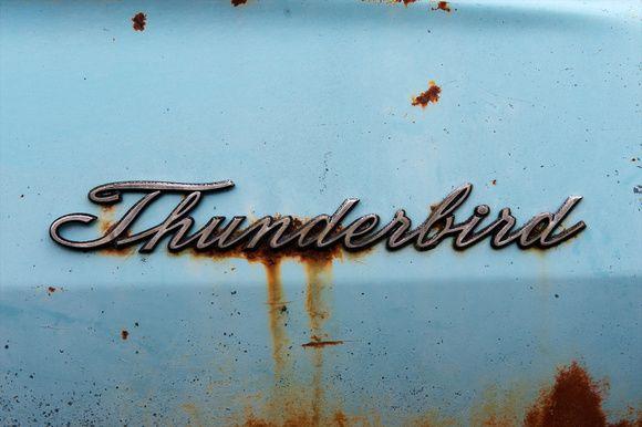 Old Thunderbird Logo - Holliday Photography/Rick Holliday | Old Car City | Thunderbird Emblem