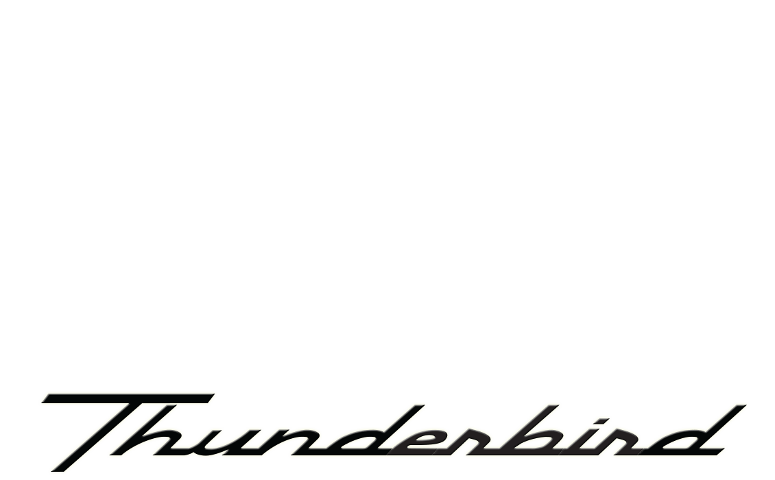 Old Thunderbird Logo - Larry's is #1 for Thunderbird Mustang & Ford Passenger parts