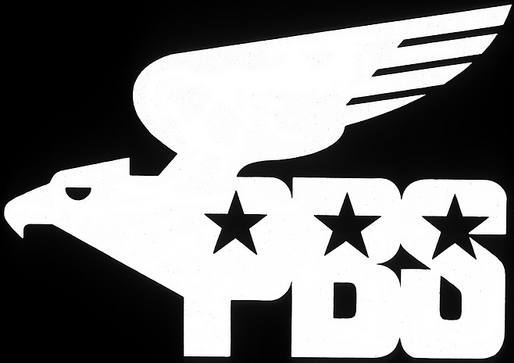 PBS Logo - Another pbs logo concept a.png
