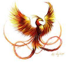Phoenix Bird Designs Logo - Best Phoenix Birds image. Tattoo phoenix, Phoenix drawing