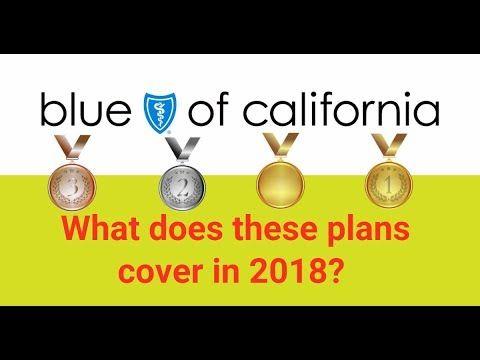 Gold and Blue Shield Logo - What does the Blue Shield individual health plans cover in 2018 ...