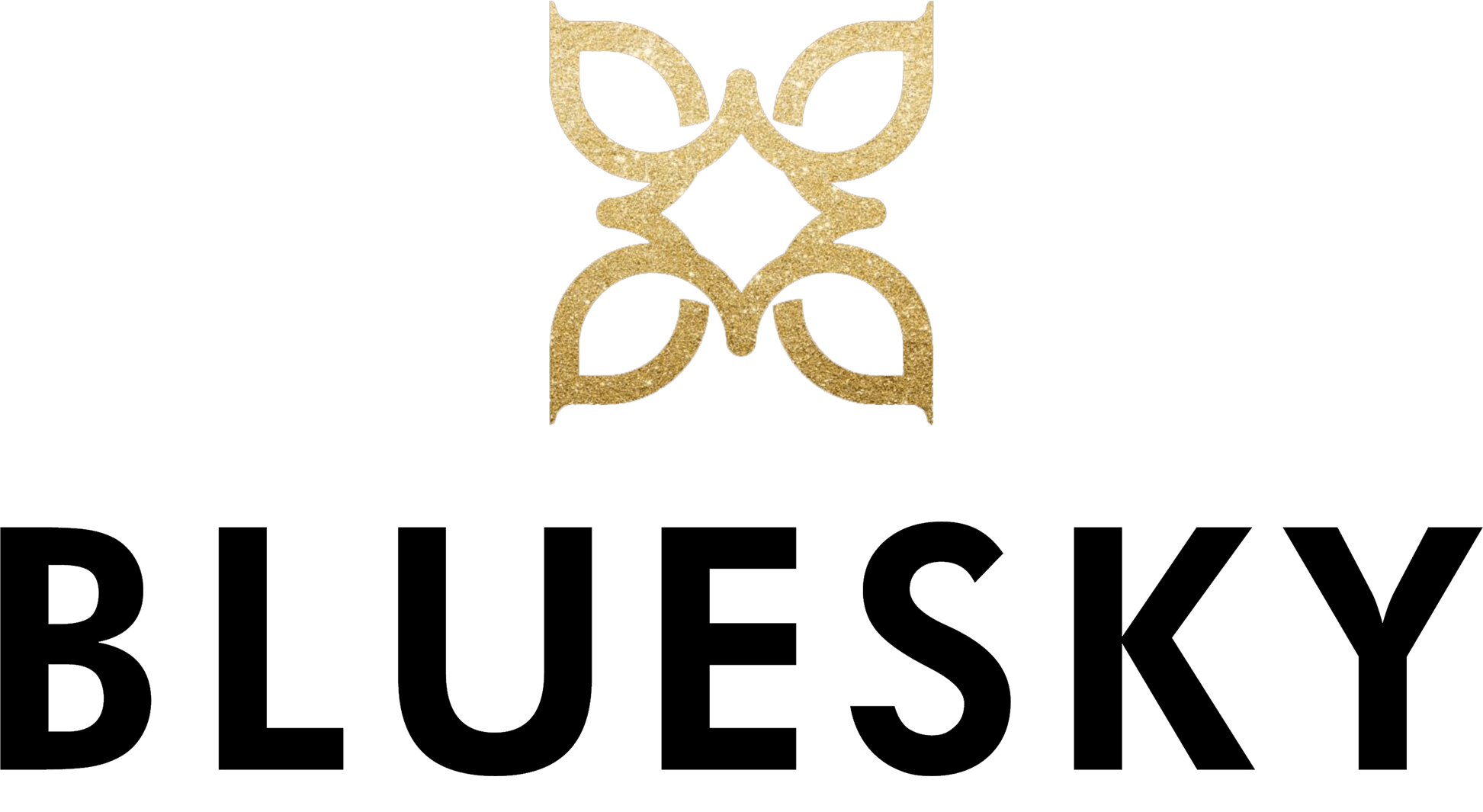 Blue Sky Logo - UK's Leading Authorised Stockist Of Official Bluesky Nail Polish ...