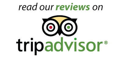 TripAdvisor Logo - tripadvisor-logo -