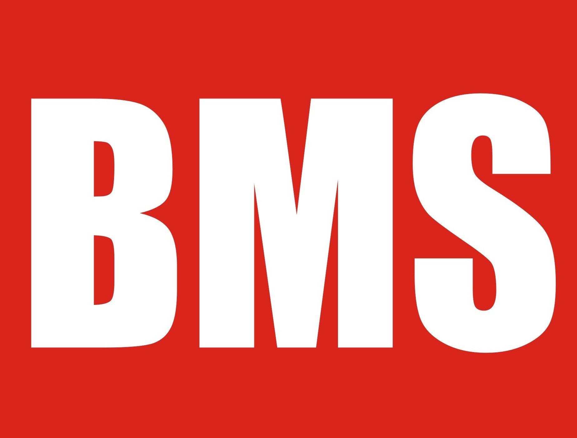 BMS Logo - Logos