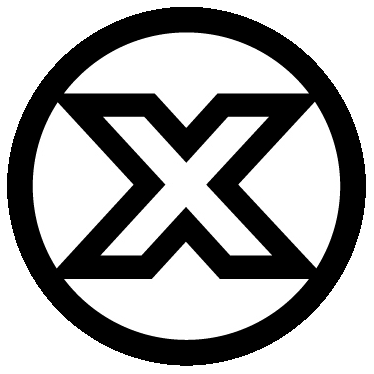 Big X Logo - Custom X Bodyboards, Custom X Boogie boards, Bodyboards and boogie