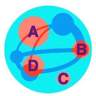 Light Blue Dark Blue Red Orange in a Circle Logo - Schematic of the brain (light blue), a brain network (dark blue and ...