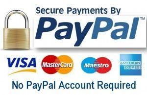 We Accept PayPal Logo - Payment
