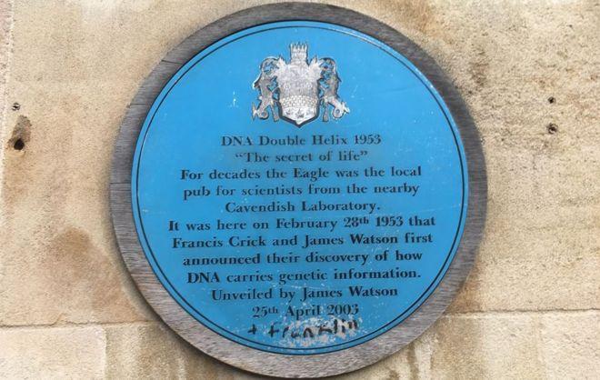 Blue and Green Double Helix Logo - Vandal adds Rosalind Franklin's name to Cambridge DNA blue plaque