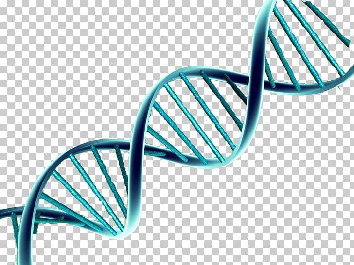 Blue and Green Double Helix Logo - DNA Nucleic acid double helix Genetics, exam, green spiral ...