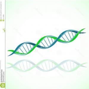 Blue and Green Double Helix Logo - Blue And Green Dna Strand Wreath Gm