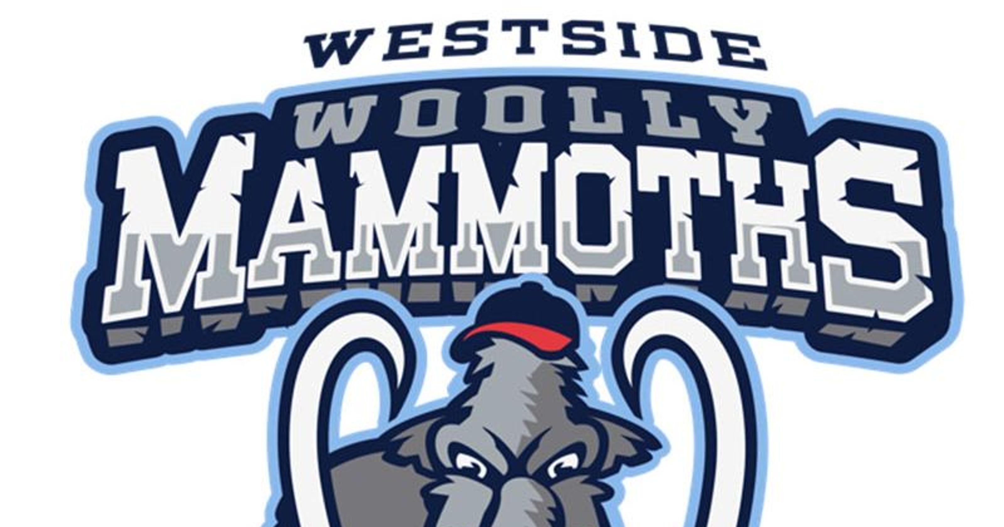 Wooly Mammoth Sports Logo - Detroit's latest pro baseball team: Westside Woolly Mammoths
