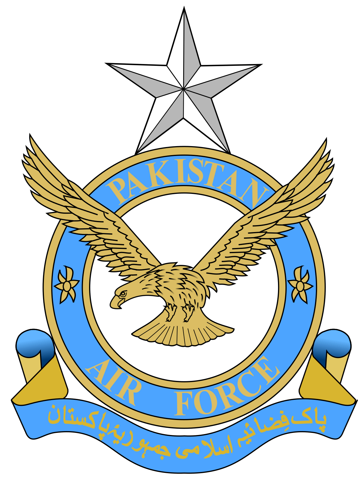 USAF Red Eagle Logo - Pakistan Air Force