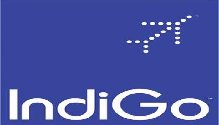 Indigo Logo - Indigo Logos