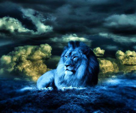 Light Blue Lion Logo - LION IN BLUE LIGHT - Cats & Animals Background Wallpapers on Desktop ...