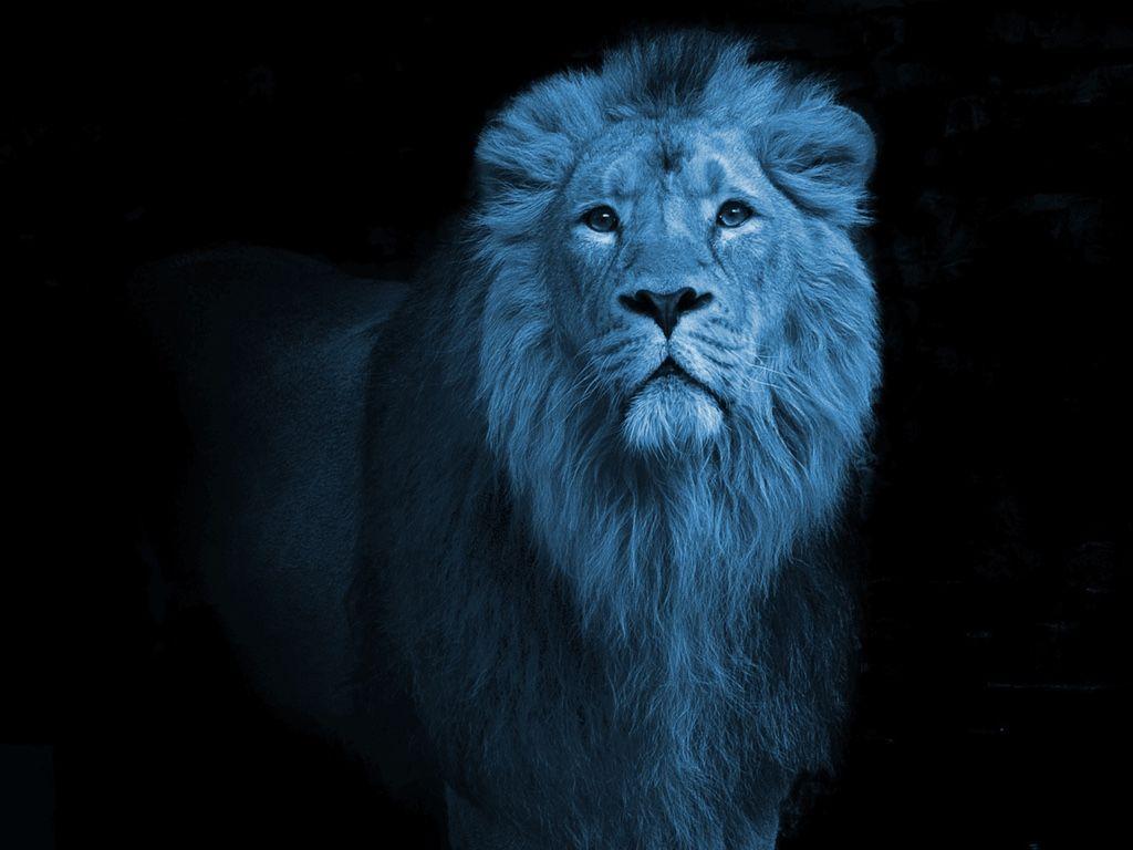 Light Blue Lion Logo - OS 2 Resurrected: Blue Lion Becomes ArcaOS, Details Emerge