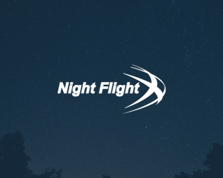 Night Flight Logo - Night flight Designed