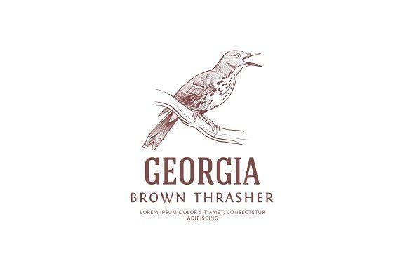 Brown Bird Logo - Vintage Logo: Brown Thrasher Bird Logo Templates Creative Market
