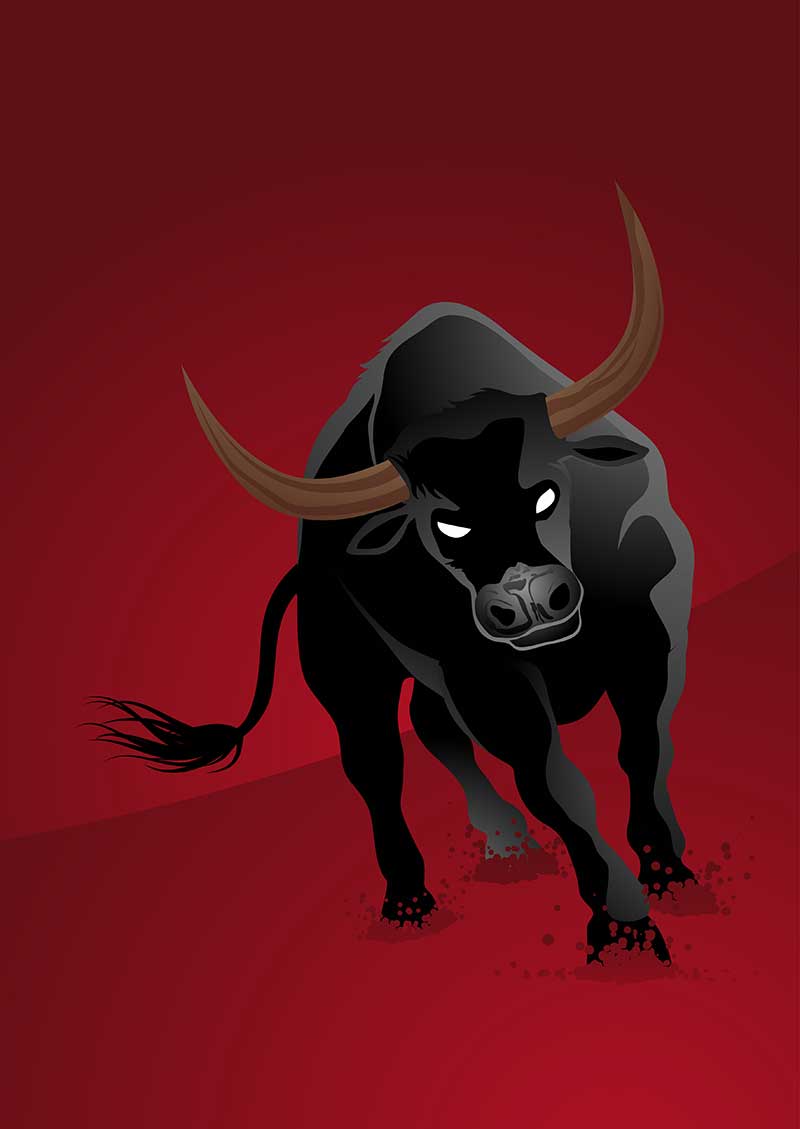 Red and Black Bull Logo - black-bull-on-red-backgroundS - Klauer Optical & Sunglass Center