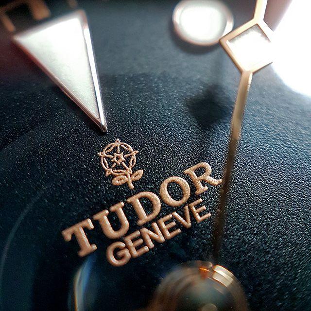 Tudor Logo - Review: Black Bay Noir Tudor Rose Logo
