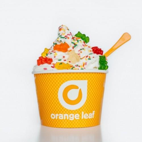Orange Leaf Yogurt Logo - Orange Leaf to open 25 Middle Eastern outlets | Hotel News ME