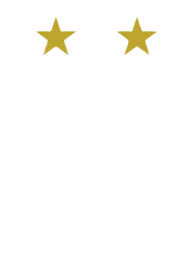 Famous Internet Logo - Web Developers, Website Designs | Famous Internet Solutions