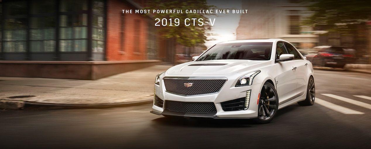 Cadillac V Series Logo - 2019 CTS-V Sedan | Cadillac