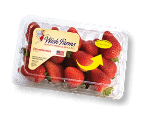 Wish Farms Logo - Plant City, Florida Based Year-Round Berry Supplier | Wish Farms