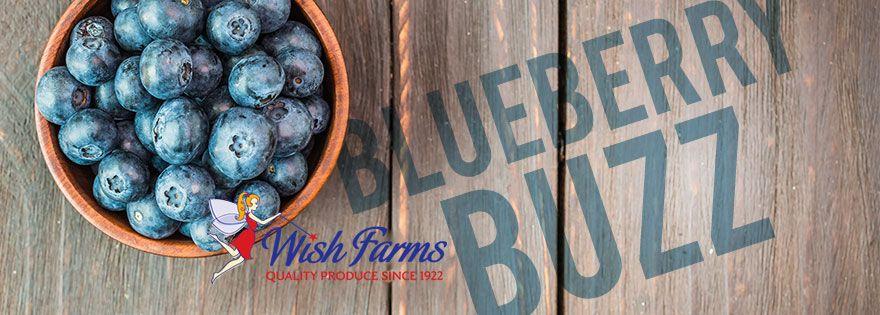 Wish Farms Logo - Wish Farms Taps Social Media Influencers to Create Buzz Around ...