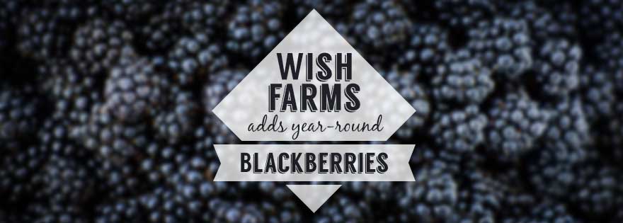 Wish Farms Logo - Wish Farms Adds Blackberries to Year-Round Offerings | And Now U Know