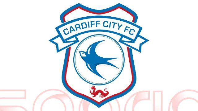 Round Face with Blue Logo - Blue Birds face Man City in the fourth round of the FA Cup — Sgorio