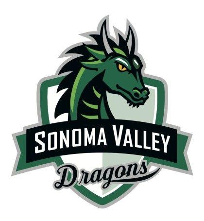 School Dragon Logo - High School mascot gets new look