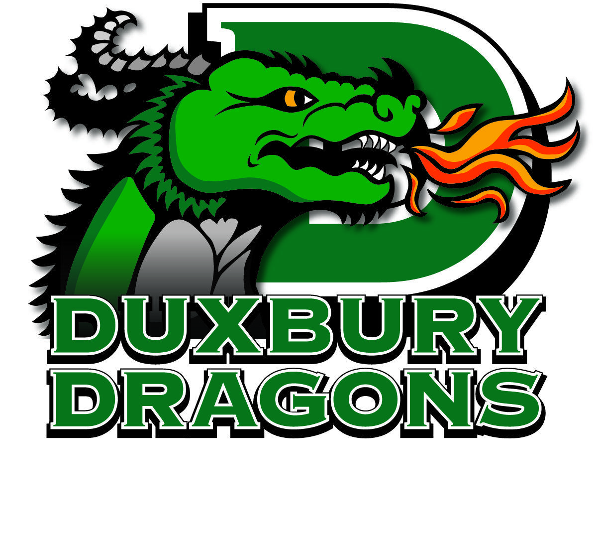 School Dragon Logo - Technology / Duxbury Public Schools Style Guide