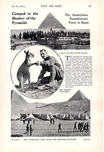 Australian Army Kangaroo Logo - 1915 WWI ~ AUSTRALIAN ARMY IN EGYPT CAMP UNDER PYRAMIDS KANGAROO ...